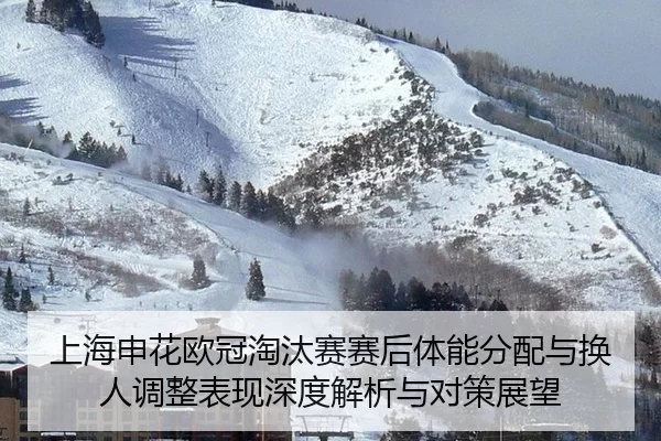 上海申花欧冠淘汰赛赛后体能分配与换人调整表现深度解析与对策展望